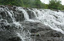 Amboli