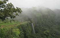 Amboli