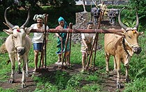 Siddhagiri Gramjivan Museum (Kanerimath)